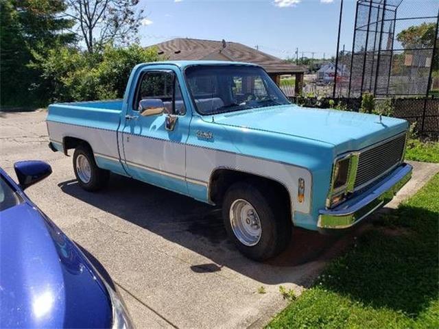 1979 Chevrolet C10 (CC-1462808) for sale in Cadillac, Michigan