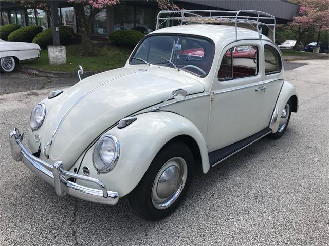 1963 Volkswagen Beetle (CC-1463139) for sale in Stratford, New Jersey