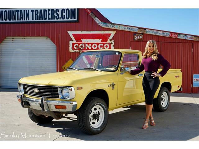 1979 Chevrolet Pickup (CC-1463719) for sale in Lenoir City, Tennessee