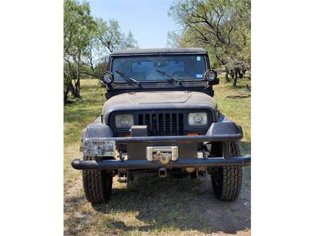 1989 Jeep YJ5 (CC-1464407) for sale in Cadillac, Michigan