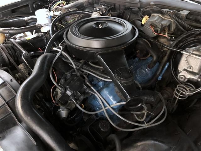 1979 Pontiac Bonneville (CC-1464542) for sale in Maple Lake, Minnesota