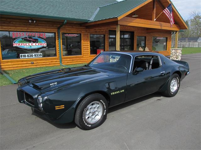 1973 Pontiac Firebird Formula (CC-1464593) for sale in Goodrich, Michigan