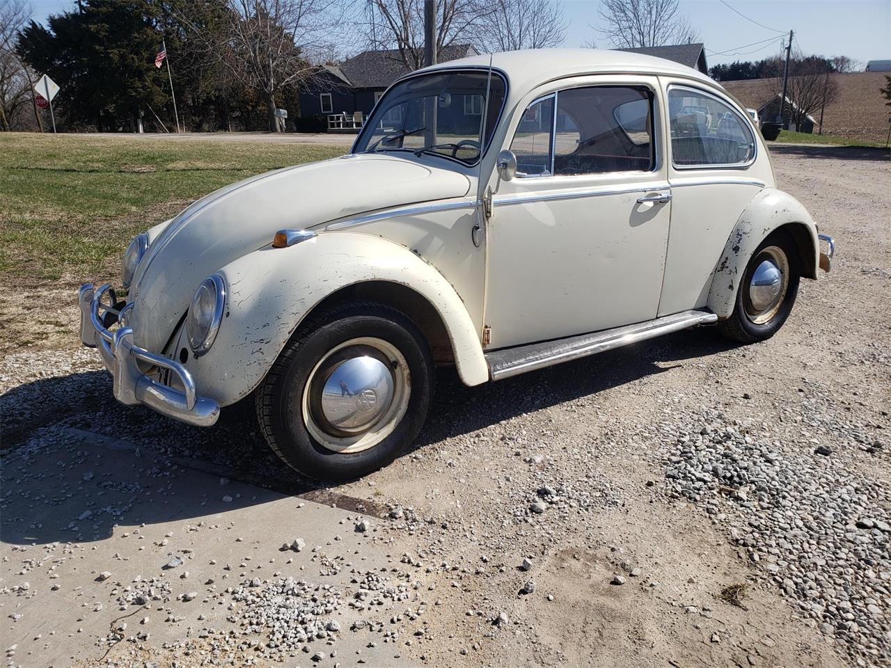 1965 Volkswagen Sedan for Sale | ClassicCars.com | CC-1466161