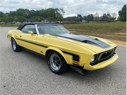 1973 Ford Mustang (CC-1466280) for sale in Youngville, North Carolina