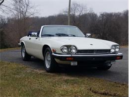 1989 Jaguar XJS (CC-1460669) for sale in Youngville, North Carolina