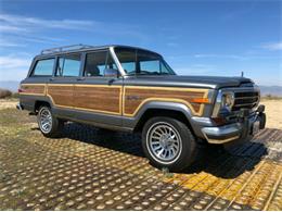 1991 Jeep Wagoneer (CC-1467163) for sale in Cadillac, Michigan