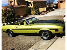 1973 Ford Mustang (CC-1467184) for sale in Cadillac, Michigan