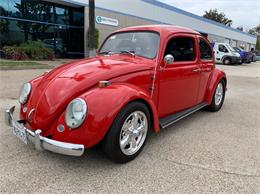 1964 Volkswagen Beetle (CC-1468410) for sale in Spring Valley, California