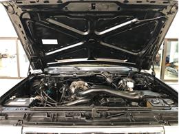 1991 Ford Bronco (CC-1468516) for sale in Palmetto, Florida