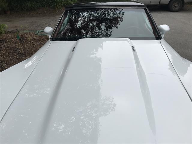 1979 Chevrolet Corvette (CC-1471244) for sale in Monterey, California