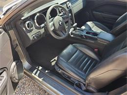 2005 Ford Mustang GT (CC-1472015) for sale in Grand Junction, Colorado