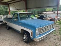 1976 Chevrolet Pickup (CC-1472820) for sale in Cadillac, Michigan