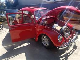 1967 Volkswagen Beetle (CC-1473196) for sale in Cadillac, Michigan