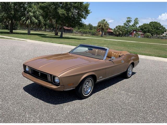 1973 Ford Mustang (CC-1473335) for sale in Clearwater, Florida