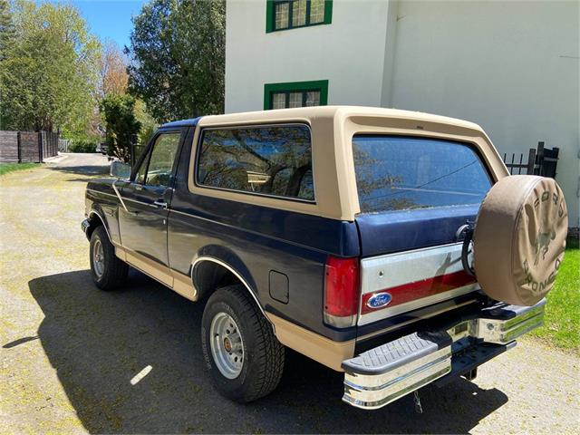 1991 Ford Bronco (CC-1473773) for sale in Pointe-Claire, Quebec