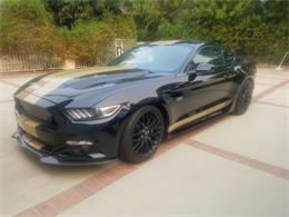 2016 Shelby GT (CC-1474348) for sale in Simi Valley, California