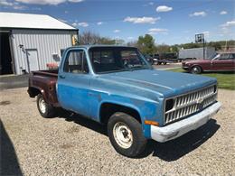 1981 Chevrolet C/K 10 (CC-1475127) for sale in Knightstown, Indiana