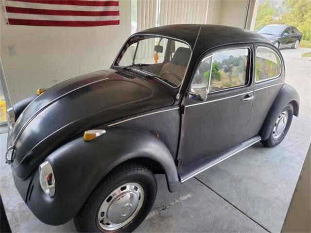 1969 Volkswagen Beetle (CC-1475317) for sale in Cadillac, Michigan