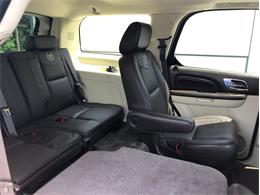 2013 Cadillac Escalade (CC-1476335) for sale in Palmetto, Florida