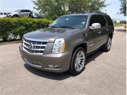 2013 Cadillac Escalade (CC-1476335) for sale in Palmetto, Florida
