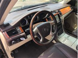 2013 Cadillac Escalade (CC-1476335) for sale in Palmetto, Florida