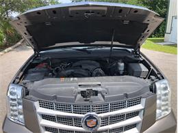 2013 Cadillac Escalade (CC-1476335) for sale in Palmetto, Florida