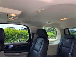 2013 Cadillac Escalade (CC-1476335) for sale in Palmetto, Florida