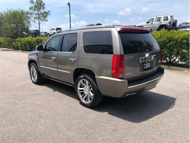 2013 Cadillac Escalade (CC-1476335) for sale in Palmetto, Florida