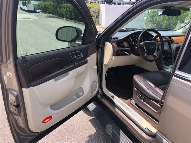 2013 Cadillac Escalade (CC-1476335) for sale in Palmetto, Florida