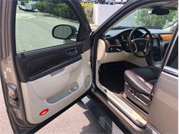 2013 Cadillac Escalade (CC-1476335) for sale in Palmetto, Florida