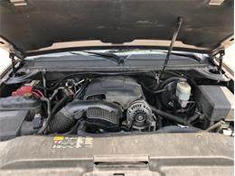 2013 Cadillac Escalade (CC-1476335) for sale in Palmetto, Florida