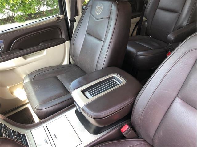 2013 Cadillac Escalade (CC-1476335) for sale in Palmetto, Florida