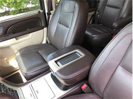 2013 Cadillac Escalade (CC-1476335) for sale in Palmetto, Florida