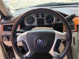 2013 Cadillac Escalade (CC-1476335) for sale in Palmetto, Florida