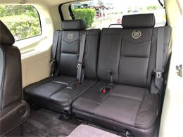 2013 Cadillac Escalade (CC-1476335) for sale in Palmetto, Florida