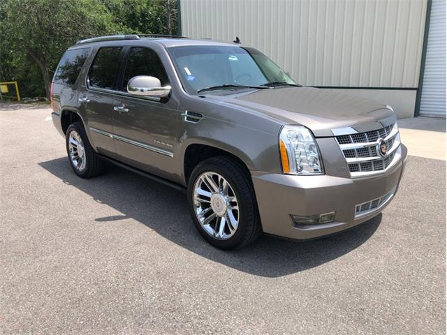 2013 Cadillac Escalade (CC-1476335) for sale in Palmetto, Florida