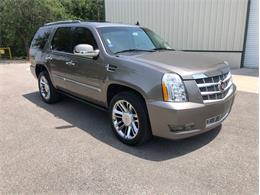 2013 Cadillac Escalade (CC-1476335) for sale in Palmetto, Florida