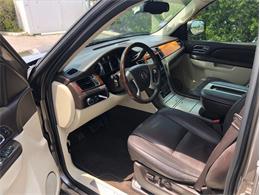 2013 Cadillac Escalade (CC-1476335) for sale in Palmetto, Florida