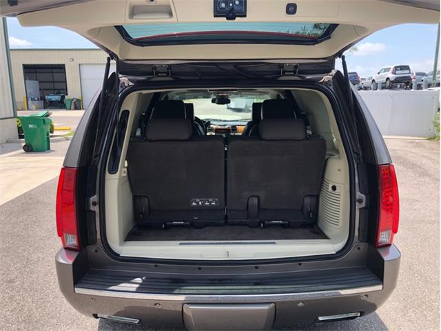 2013 Cadillac Escalade (CC-1476335) for sale in Palmetto, Florida