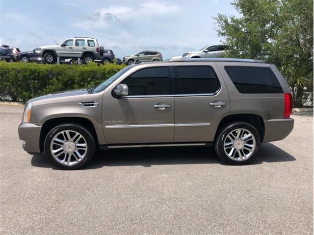2013 Cadillac Escalade (CC-1476335) for sale in Palmetto, Florida