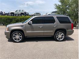 2013 Cadillac Escalade (CC-1476335) for sale in Palmetto, Florida