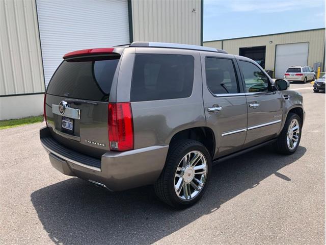 2013 Cadillac Escalade (CC-1476335) for sale in Palmetto, Florida