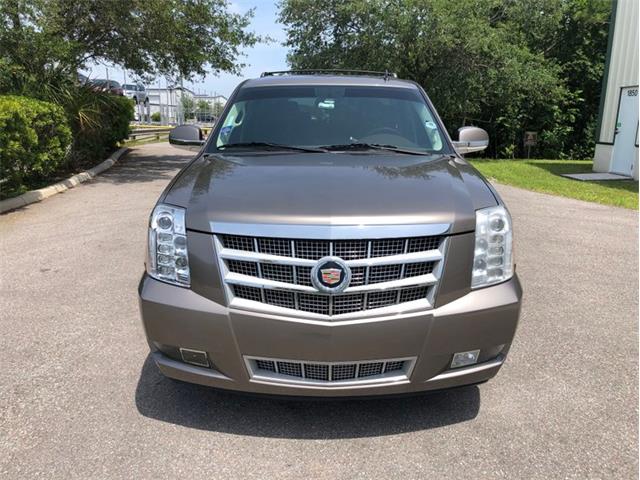 2013 Cadillac Escalade (CC-1476335) for sale in Palmetto, Florida