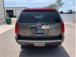 2013 Cadillac Escalade (CC-1476335) for sale in Palmetto, Florida
