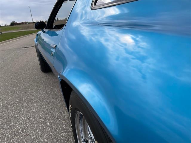 1980 Chevrolet Camaro Z28 (CC-1470751) for sale in Rochester, Minnesota