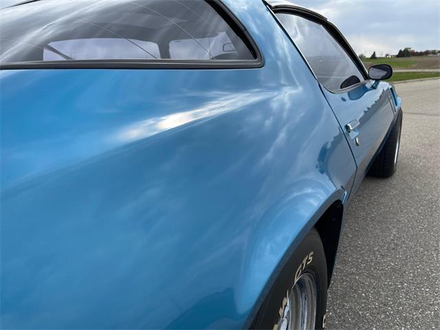 1980 Chevrolet Camaro Z28 (CC-1470751) for sale in Rochester, Minnesota