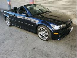 2002 BMW 3 Series (CC-1478783) for sale in Cadillac, Michigan