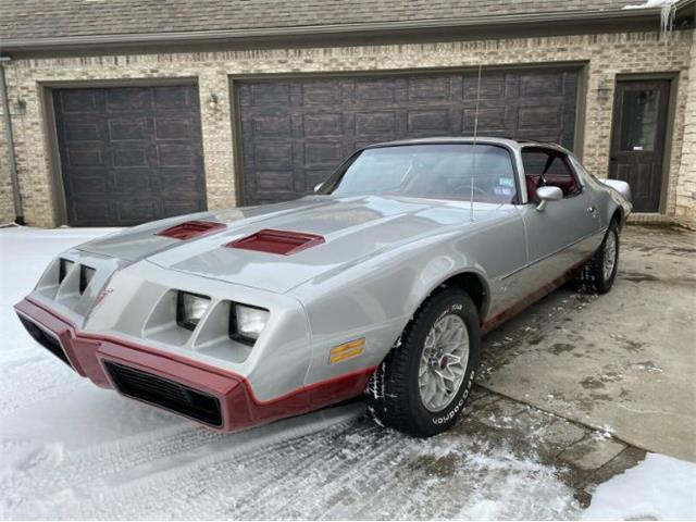 1980 Pontiac Firebird (CC-1479614) for sale in Cadillac, Michigan