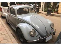 1953 Volkswagen Beetle (CC-1481764) for sale in Berchem, Antwerpen