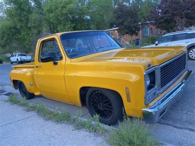 1979 Chevrolet C10 For Sale | ClassicCars.com | CC-1480196